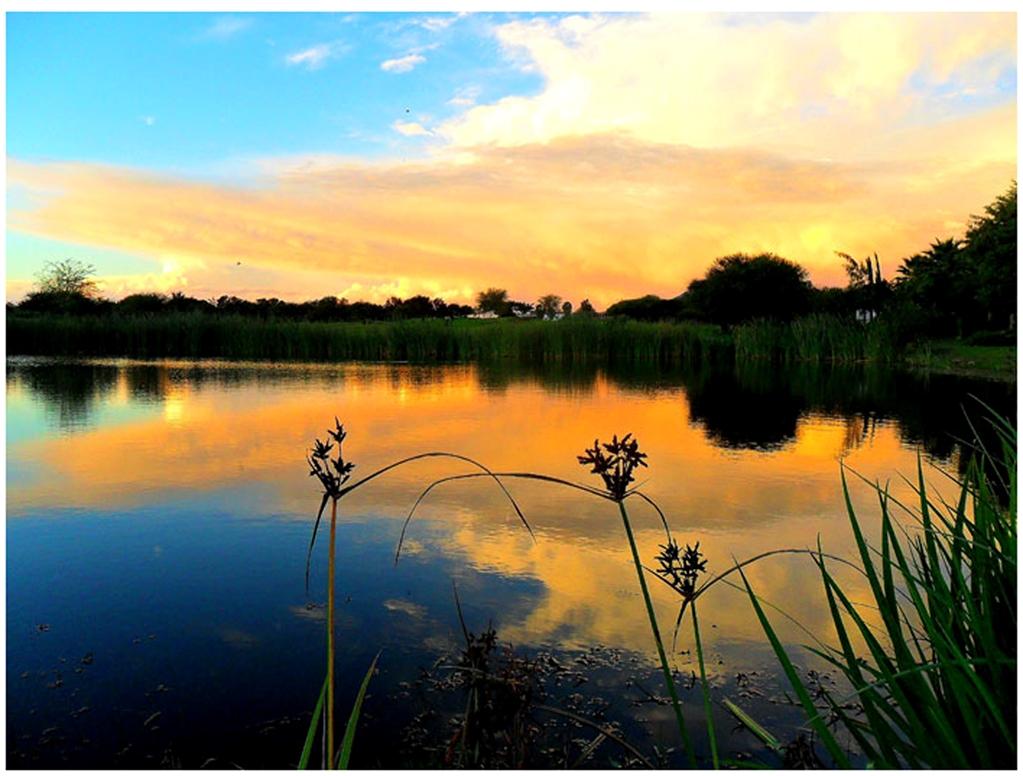 גאבורון Phakalane Golf Estate Hotel Resort מתקנים תמונה