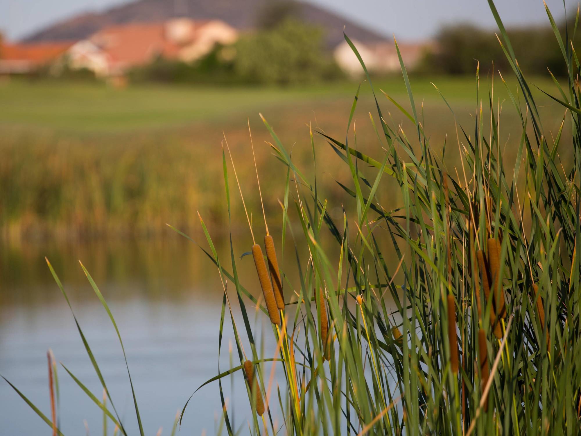 גאבורון Phakalane Golf Estate Hotel Resort מראה חיצוני תמונה